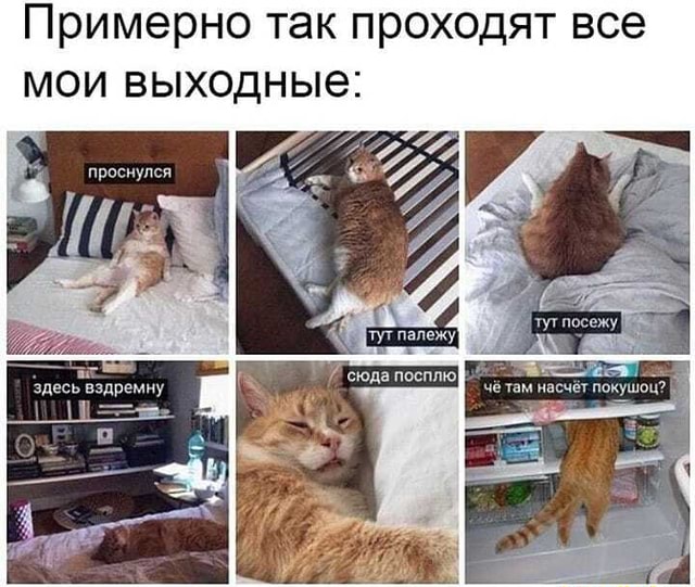 Как не выходной так новый парнишка в сетях Как не выходной так новый парнишка в сетях