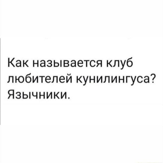 Смешные Фото Куни Смешные Фото Куни