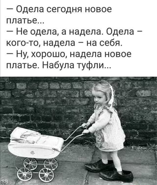 https://imageproxy.idaprikol.ru/crop:x-20,resize:320x,crop:x800,quality:90x75/images/26477423c8252f72ba275e3fe82fc90a55179926da7a167ef4aa08de4a0c9cd2_1.jpg