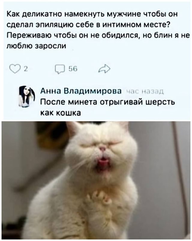 Порно жүргізушіні жұтып қойды