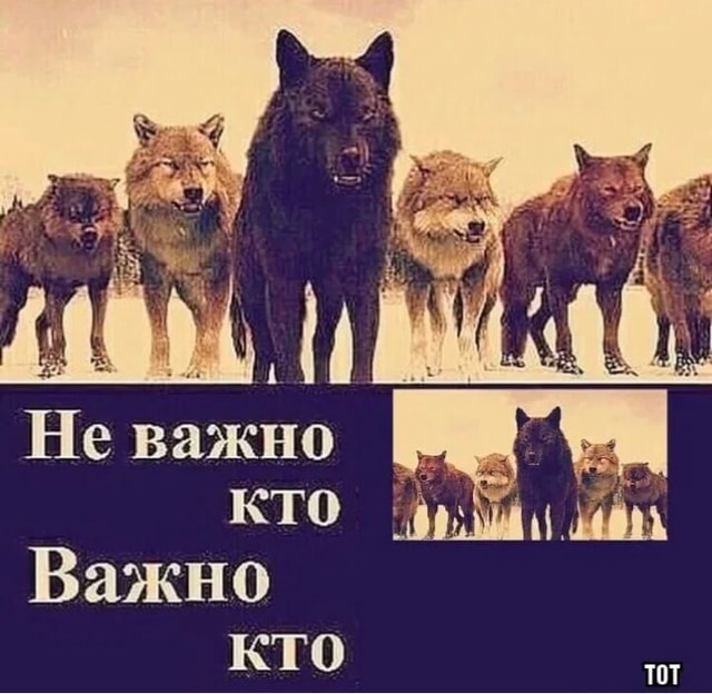 Не важно кто человек кем является. Не важно кто человек кем является