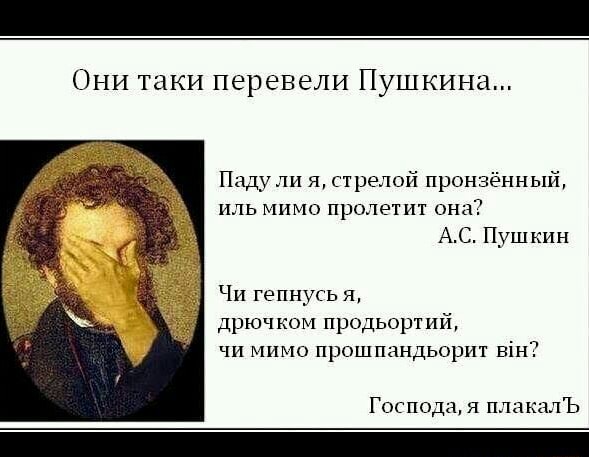 https://imageproxy.idaprikol.ru/crop:x-20,resize:640x,quality:90x75/images/381d4454ea5f4d39666f4fa99074fc08c70ef9f02b62216730ea471bb3d47bac_1.jpg