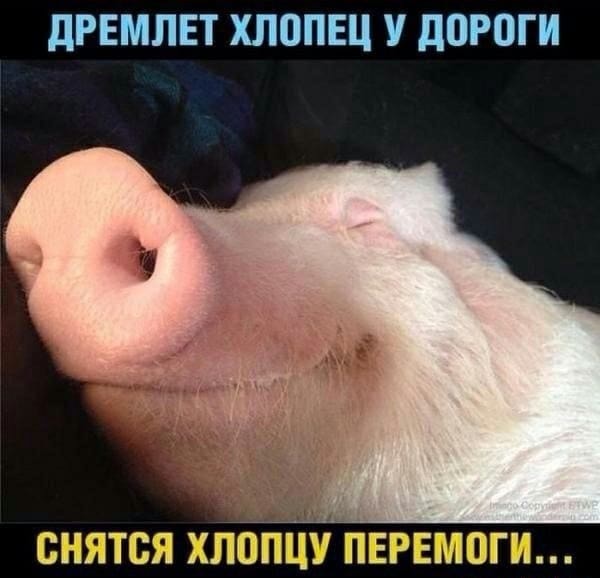 4bed5934be57476962d23a2c5b4d14a5337b8fb2