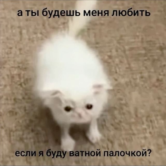 Әйелдердің түкті аяқтары, письки және есектері Күлкілі порно жинақ