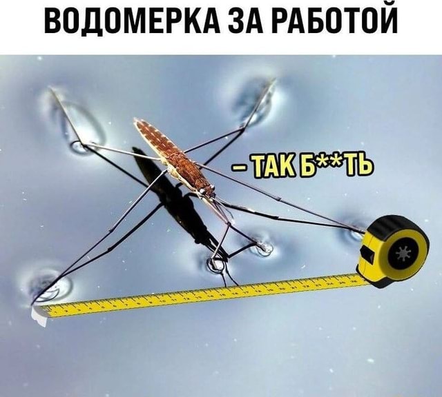 8ea5a0abfab8246ff9d95eaed312c6e9671233a05b9fe914e9389e15229005e9_1.jpg
