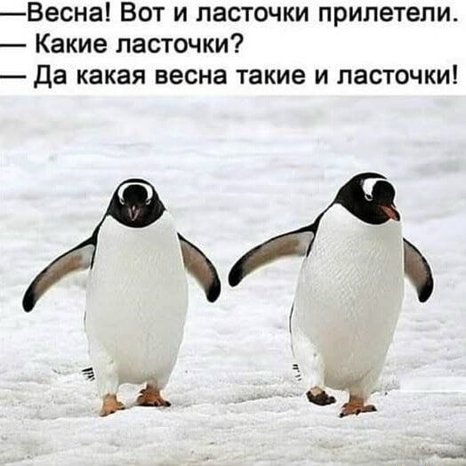 9068248c978f0dc75524fcd46506dc3bcf2e8df8b58ffe3381a3339d7b8cc490_1.jpg