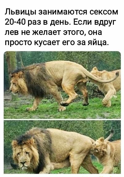 Аяқтағы порно көру Ольга Плеваның порнографиялық суреттері