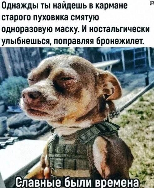 9e4bf35d38804cee26350d136bbd8afc1c60d824bca1b7e1343d0e6bae18a130_1.jpg