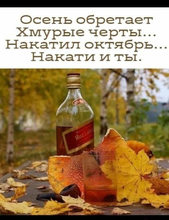 Мен секс сатып аламын