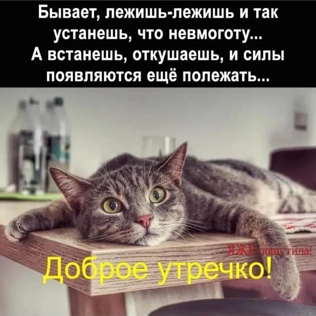 Dream Secretary Порно қараңыз Жігіт өз қолымен өз мүшесінде отырған қыздың табиғи үлкен сисьетін ұстайды