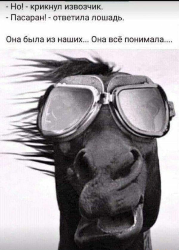 Chloe Grace Moretzs Knot порно фейктері