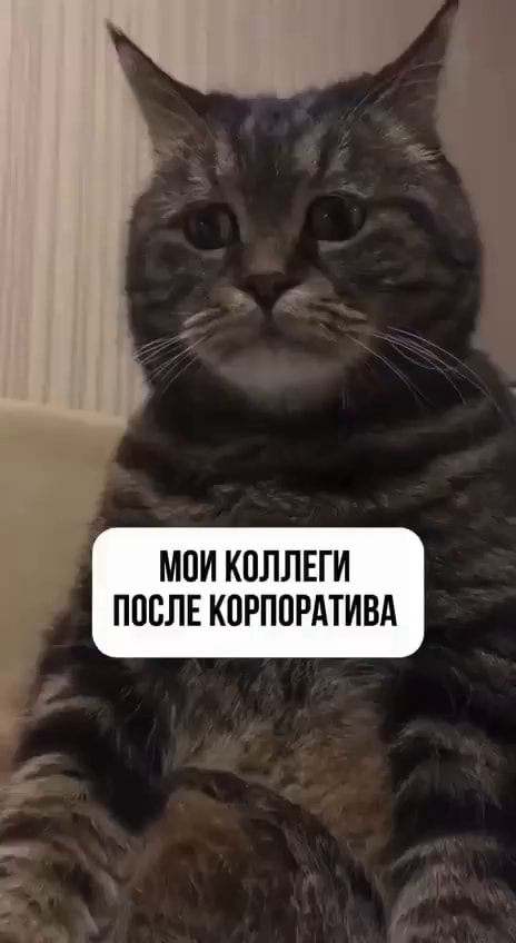 МОИ КОЛЛЕГИ ПОСЛЕ КОРПОРАТИВА - АйДаПрикол
